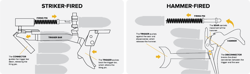 Striker_vs_Hammer